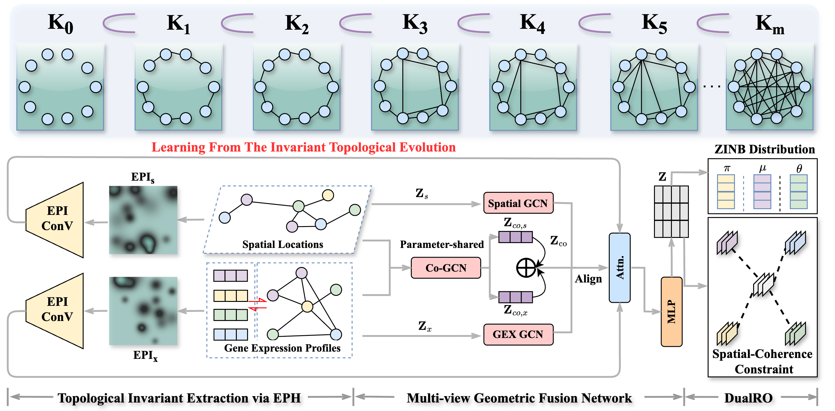 SPHENIC: Topology-Aware Multi-View Clustering for Spatial Transcriptomics